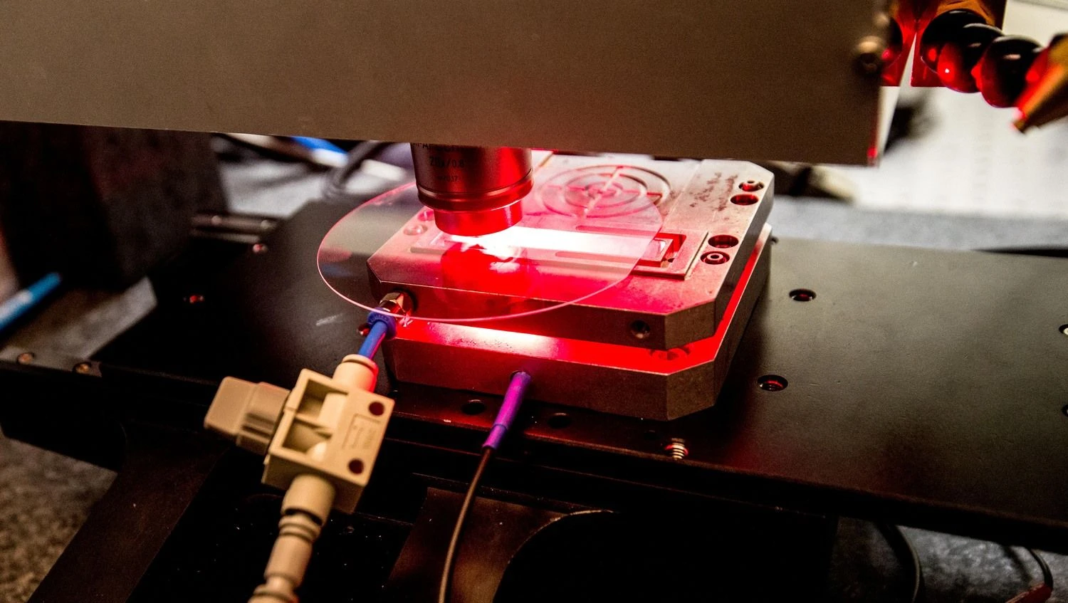 Juditos Grigelytės (VŽ) nuotr.