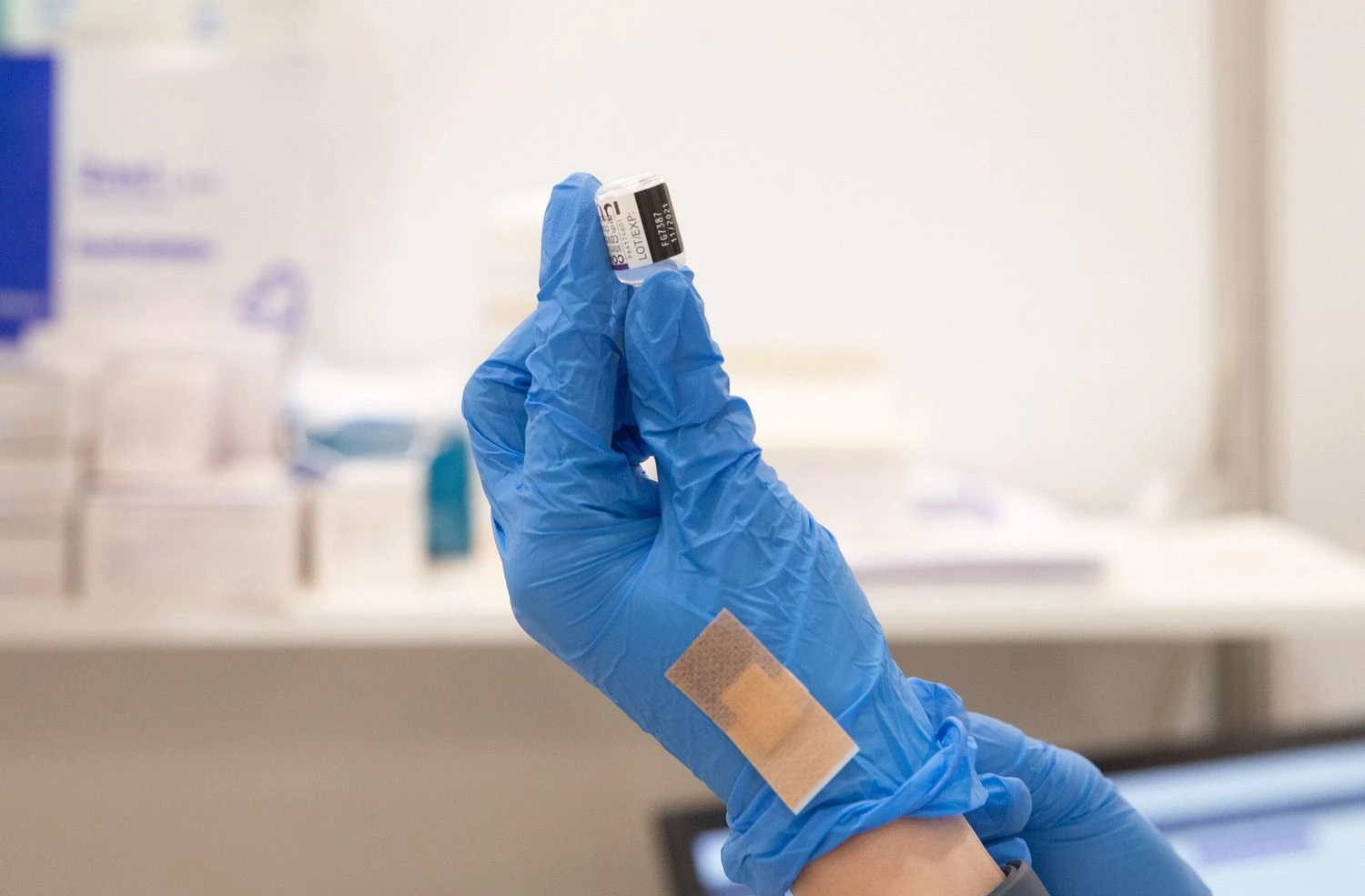 Juditos Grigelytės (VŽ) nuotr.