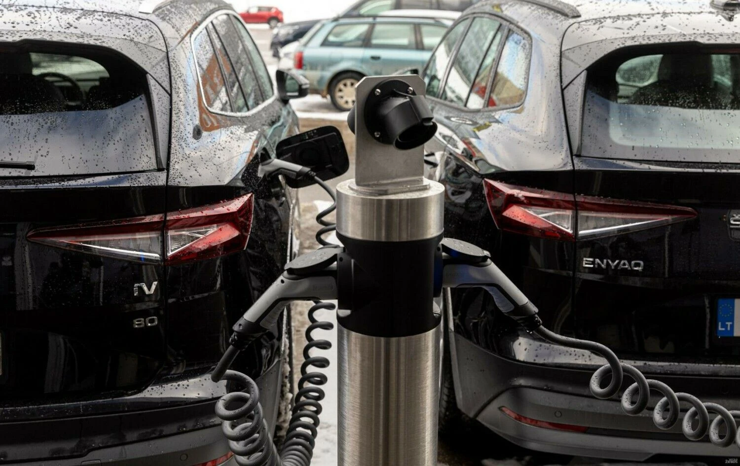 Juditos Grigelytės (VŽ) nuotr.