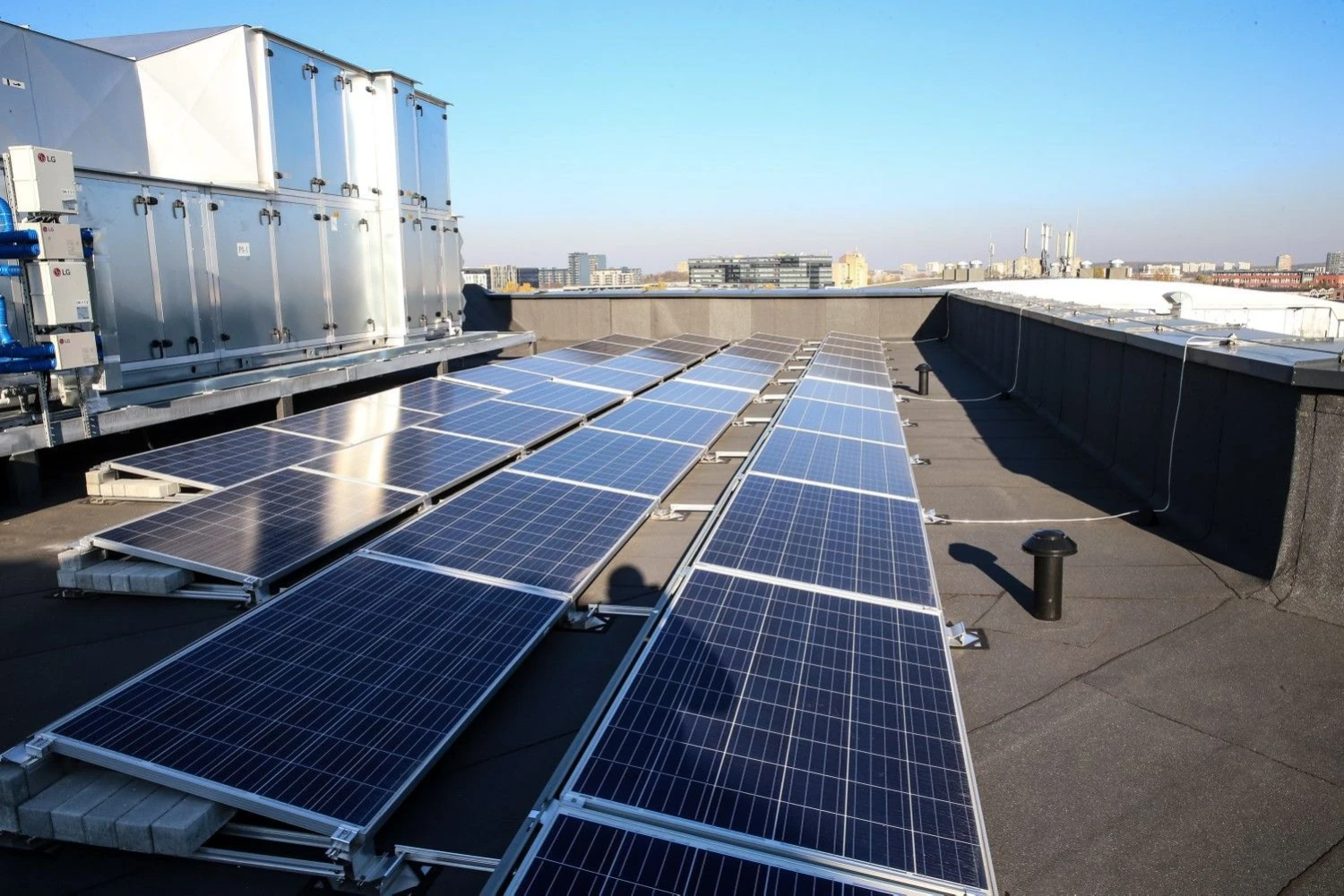 Vladimiro Ivanovo (VŽ) nuotr.