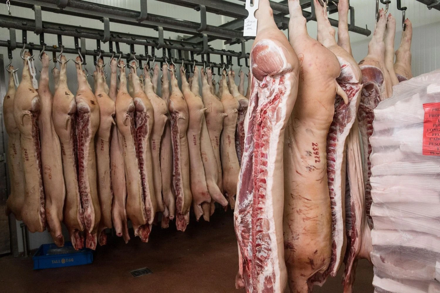 Pasirodo, fleksitarais vadinami vegetarai, kurie valgo mėsą. Juditos Grigelytės (VŽ) nuotr.