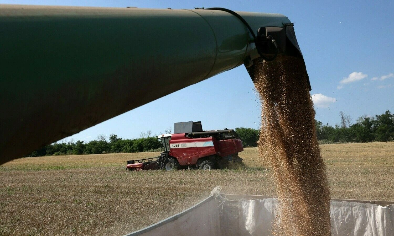Anatoli Stepanovo (AFP / „Scanpix“) nuotr.