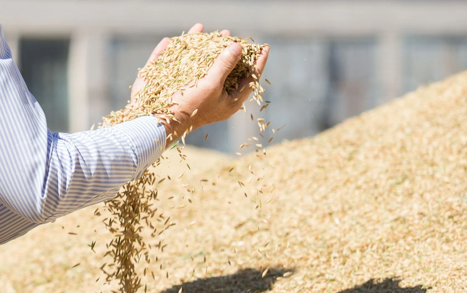 Juditos Grigelytės (VŽ) nuotr.