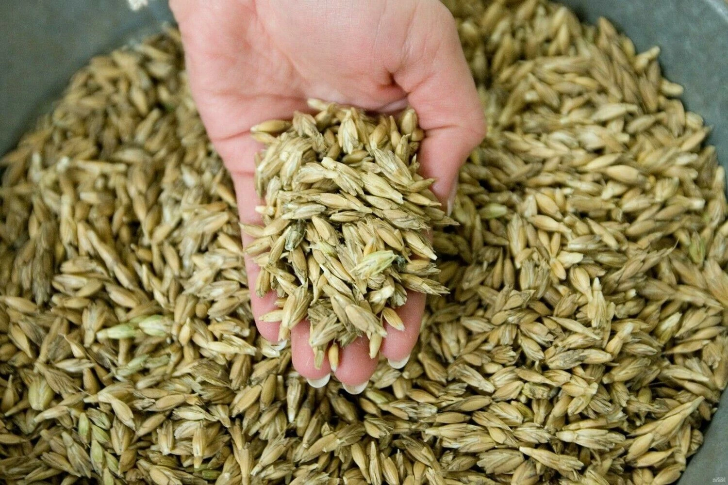 Juditos Grigelytės (VŽ) nuotr.