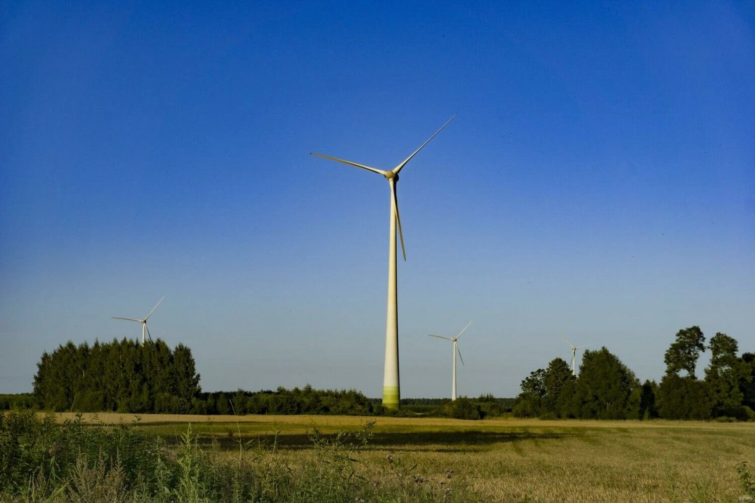 Vėjo jėgainės. Algimanto Kalvaičio nuotr.