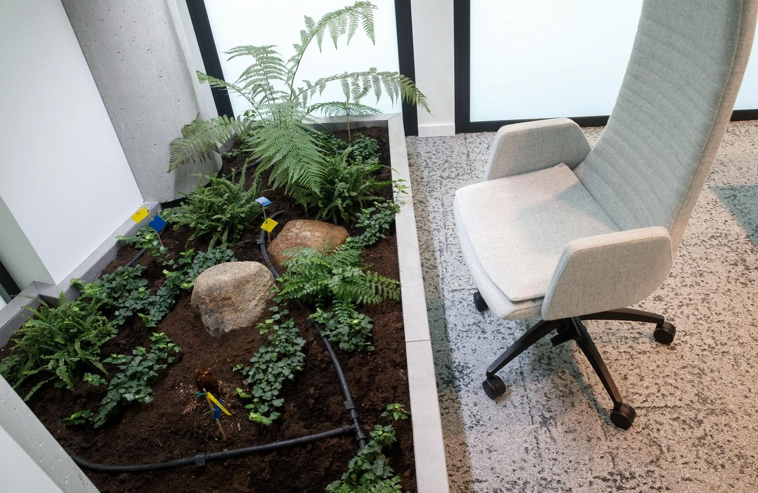 „Darnu Group“ biuras, Vilniuje. Juditos Grigelytės (VŽ) nuotr.