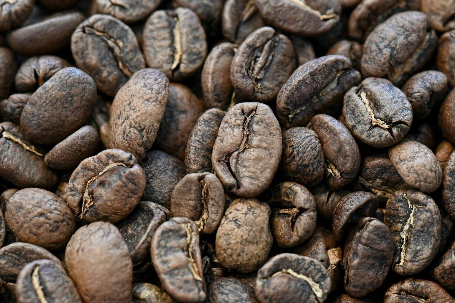 Luis Robayo (AFP / „Scanpix“) nuotr.