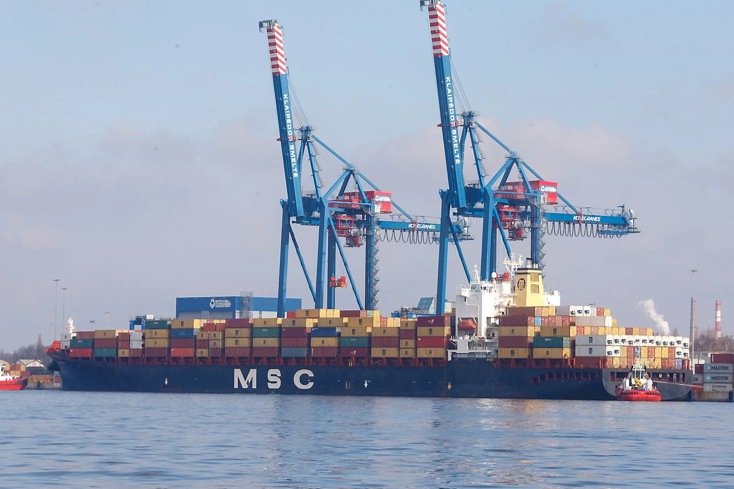 Vladimiro Ivanovo (VŽ) nuotr.