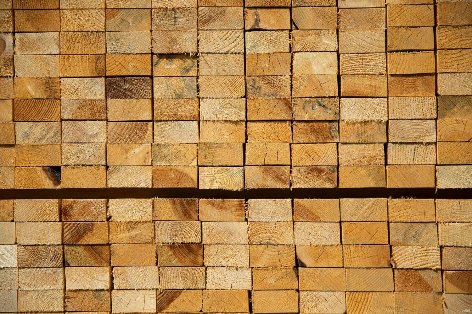 Vladimiro Ivanovo (VŽ) nuotr.