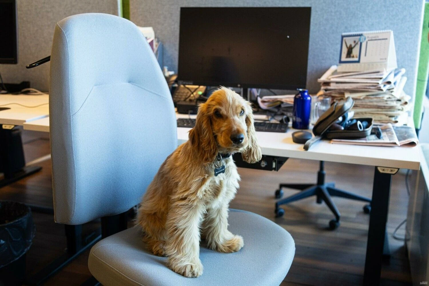 Vladimiro Ivanovo (VŽ) nuotr.