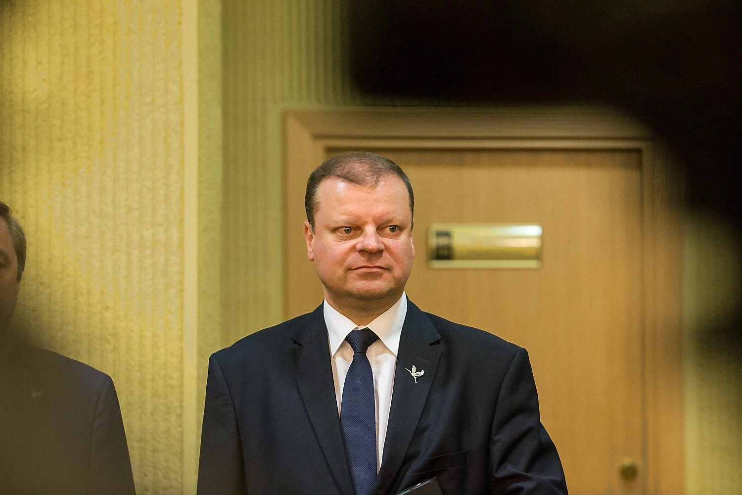 Saulius Skvernelis, kandidatas į premjerus. Vladimiro Ivanovo (VŽ) nuotr.
