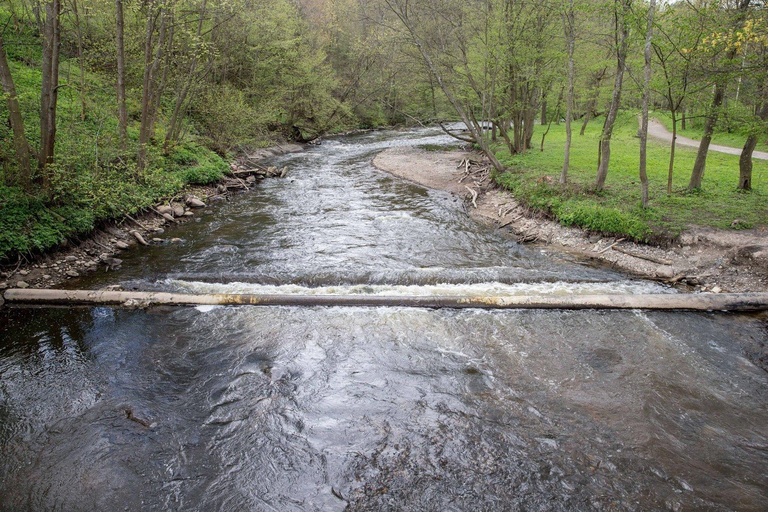 Juditos Grigelytės (VŽ) nuotr.