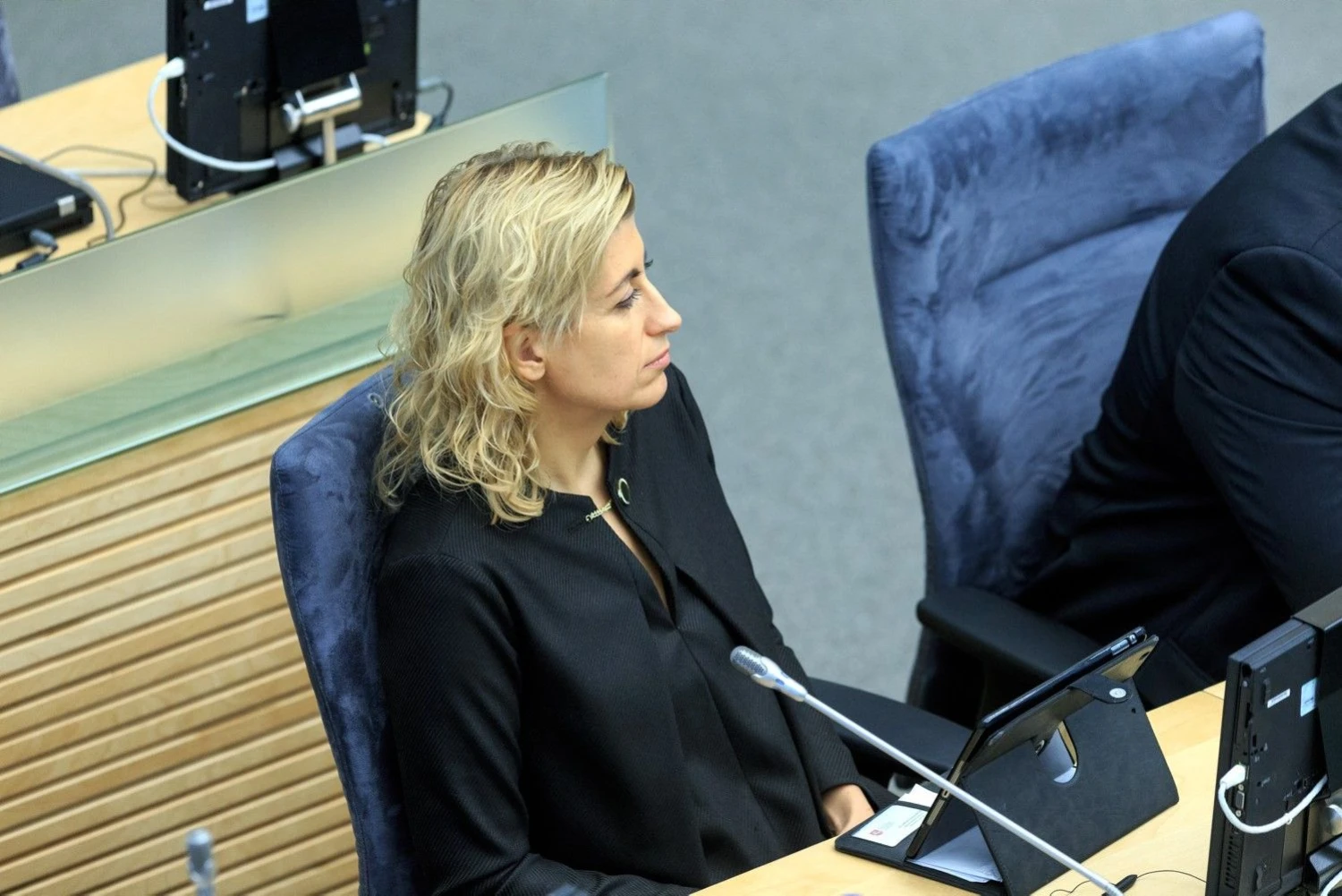 Mecenatystės įstatymo projektą Seimui pristatė kultūros ministrė Liana Ruokytė Jonsson. Vladimiro Ivanovo (VŽ) nuotr.