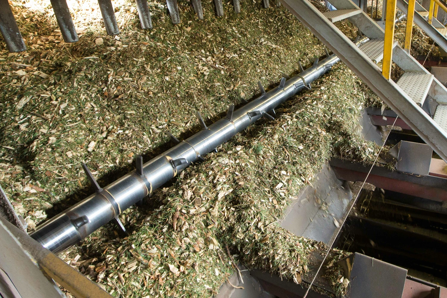 Vladimiro Ivanovo (VŽ) nuotr.