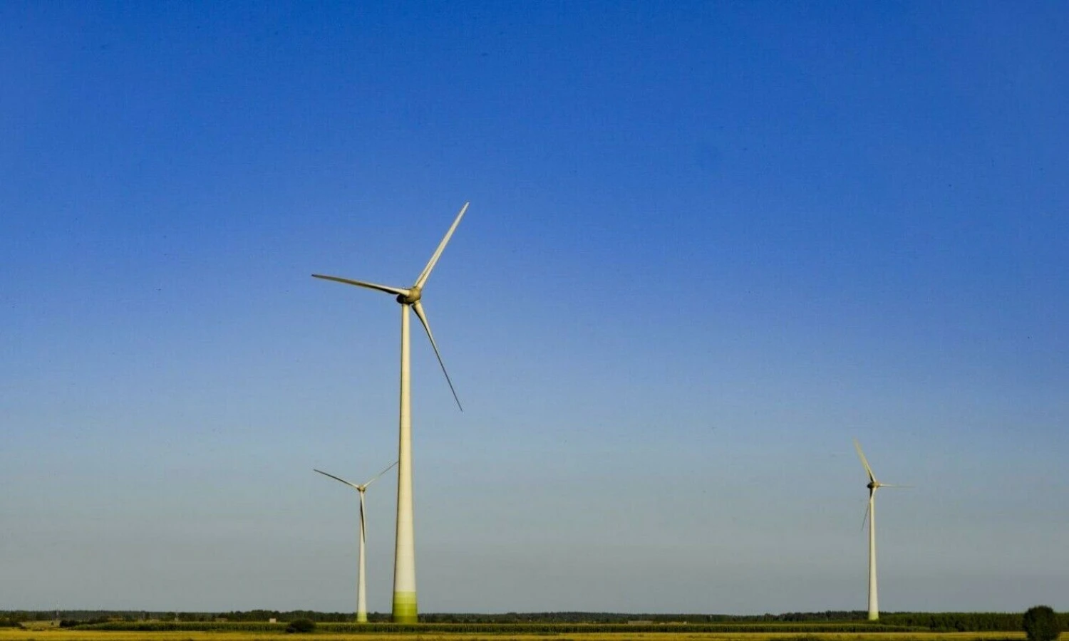 Algimanto Kalvaičio nuotr.