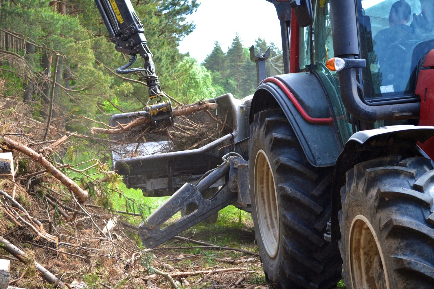 Eglės Markevičienės (VŽ) nuotr.