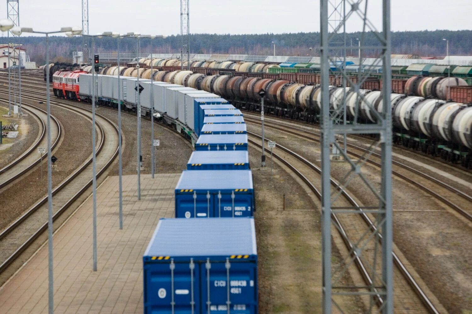 Vladimiro Ivanovo (VŽ) nuotr.