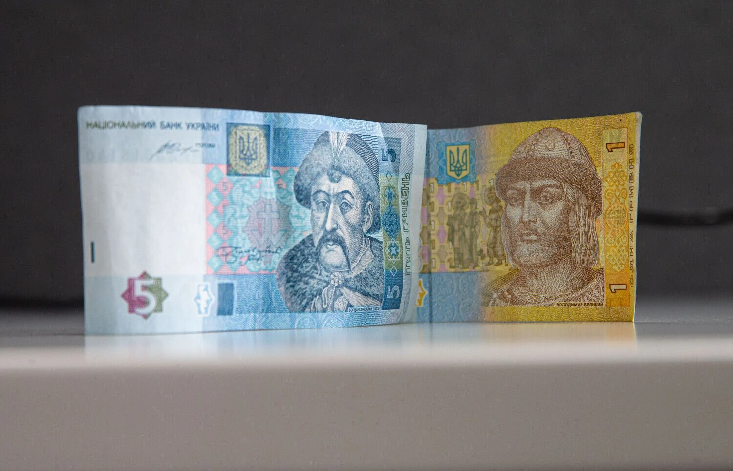 Vladimiro Ivanovo (VŽ) nuotr.