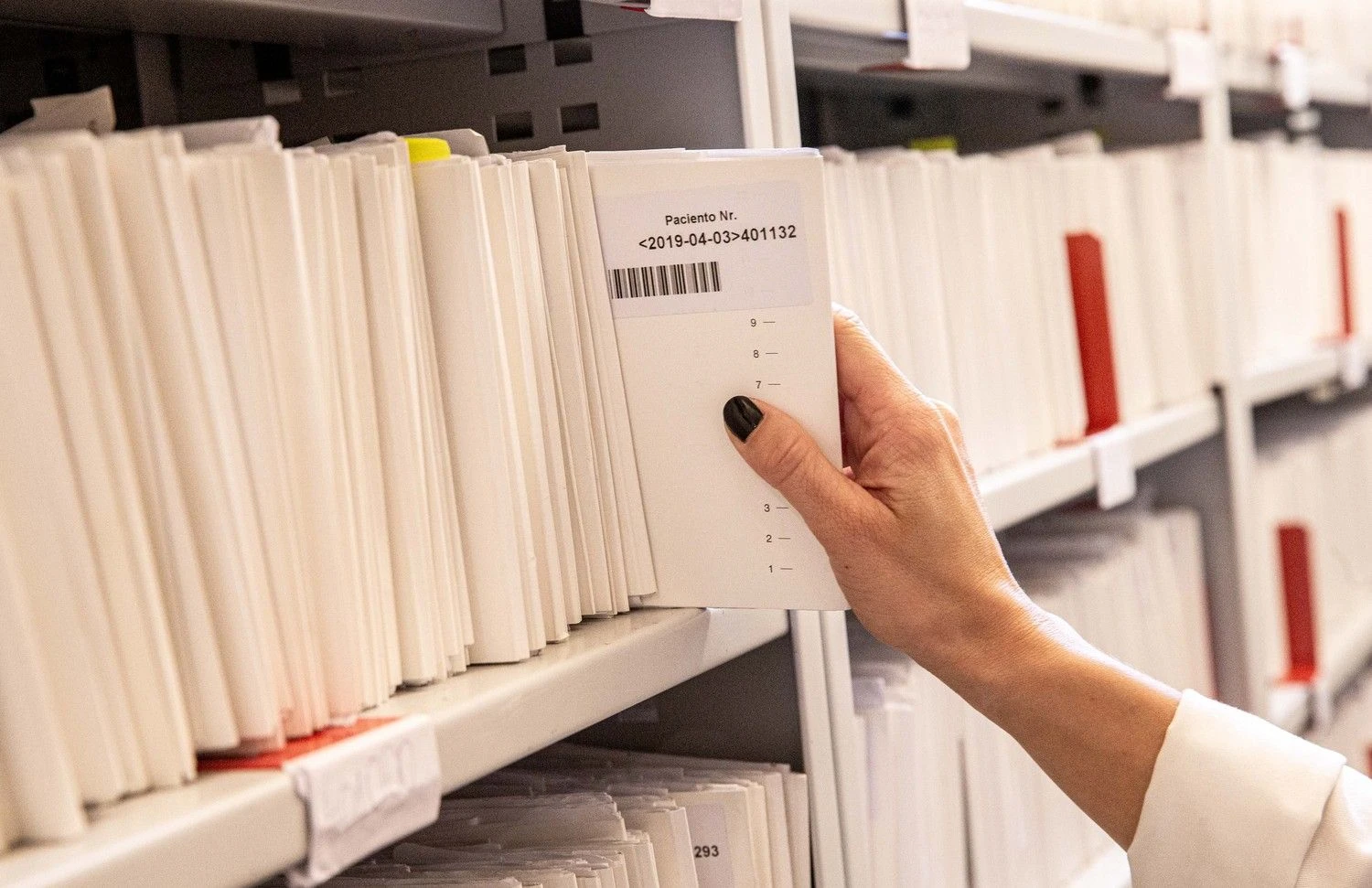 Juditos Grigelytės (VŽ) nuotr.