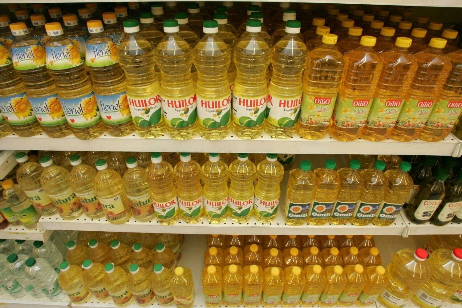 Juditos Grigelytės (VŽ) nuotr.