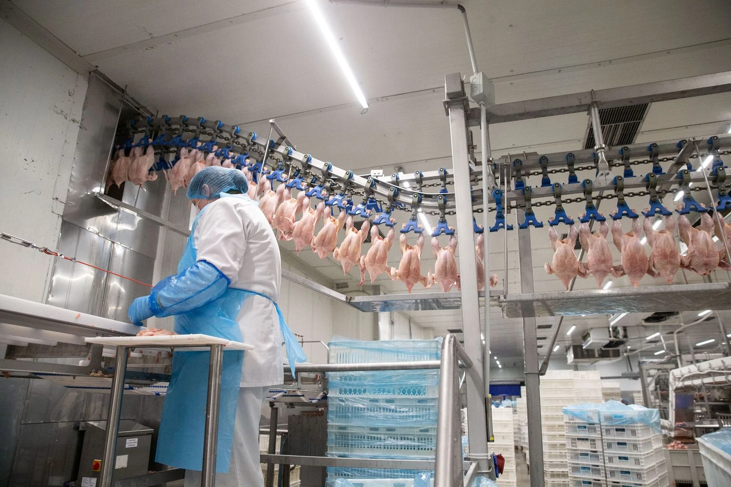 Vladimiro Ivanovo (VŽ) nuotr.