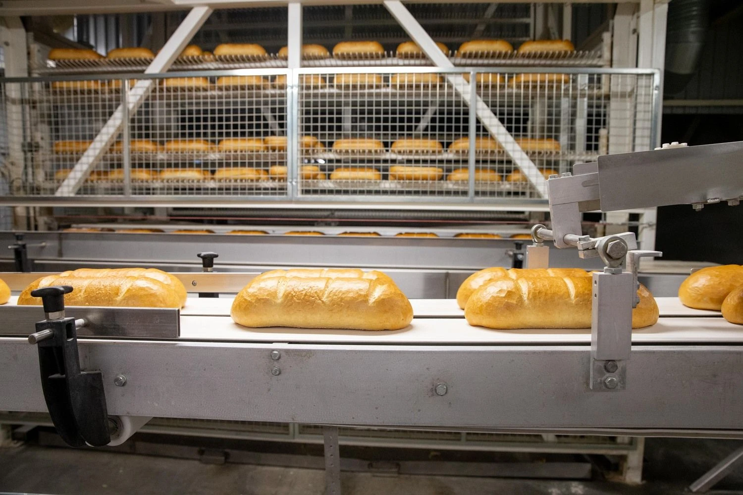 Juditos Grigelytės (VŽ) nuotr.