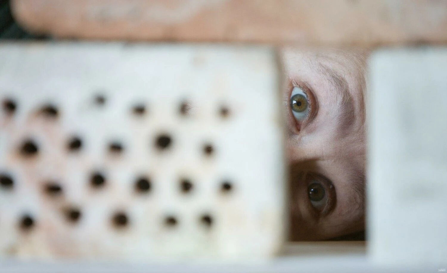 Juditos Grigelytės (VŽ) nuotr.