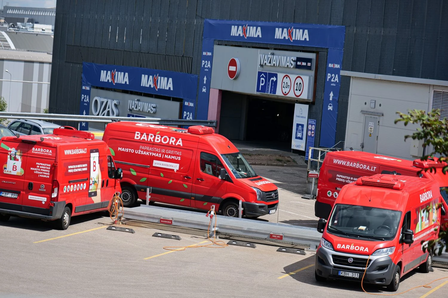 Vladimiro Ivanovo (VŽ) nuotr.