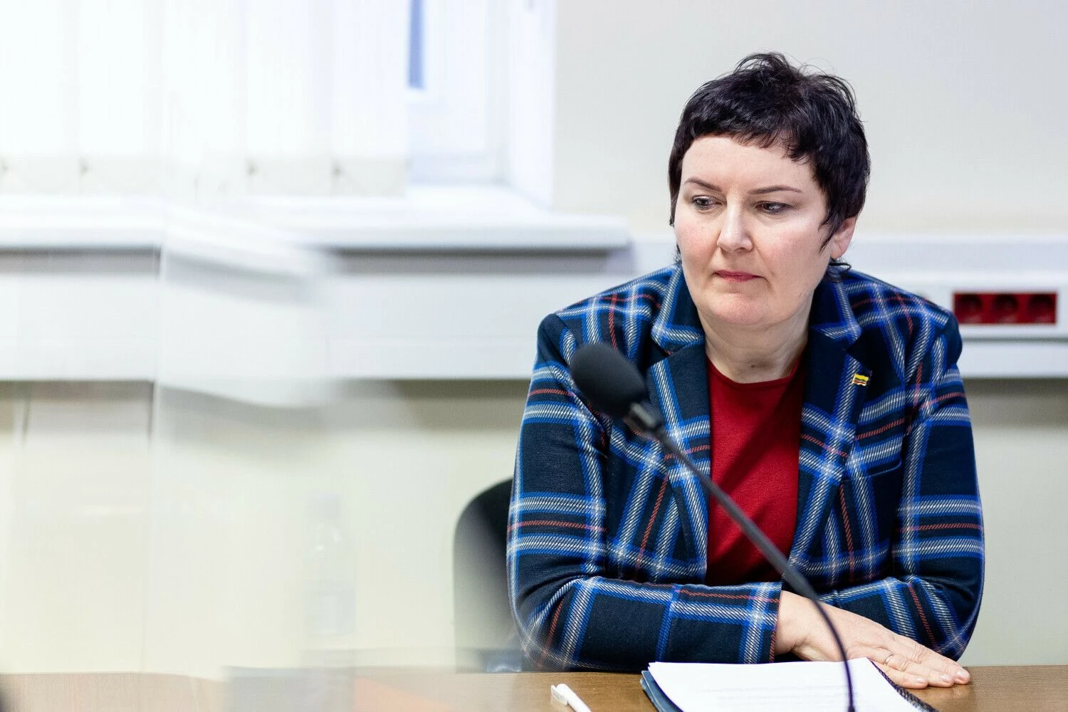 Lina Jaruševičienė. Luko Balandžio (BNS) nuotr.