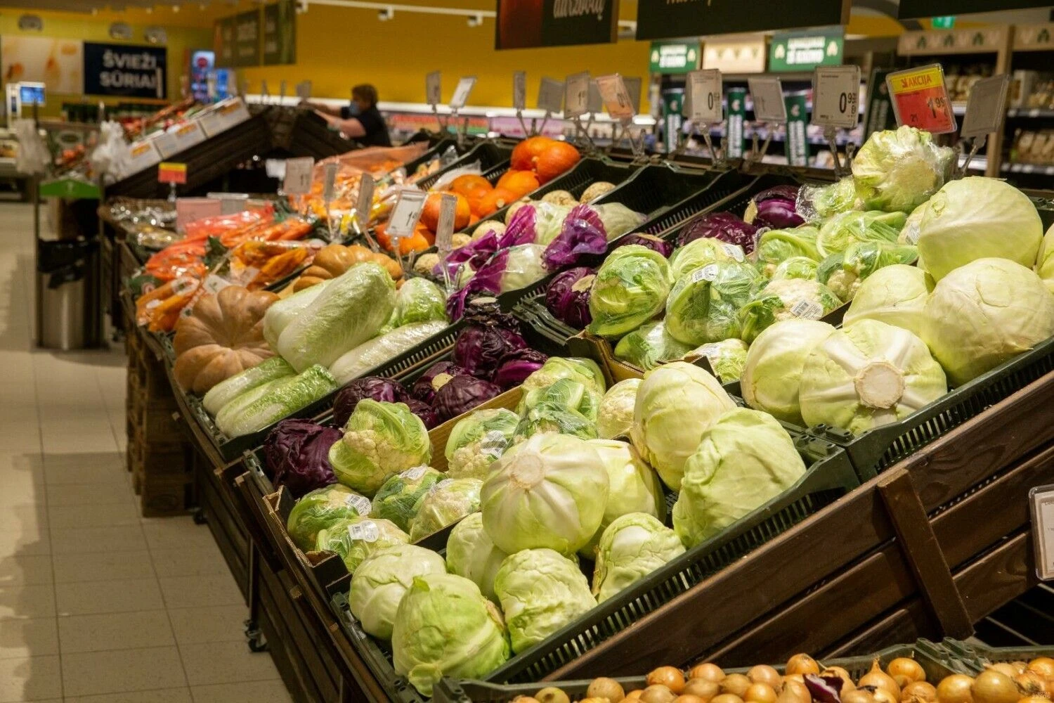 Vladimiro Ivanovo (VŽ) nuotr.