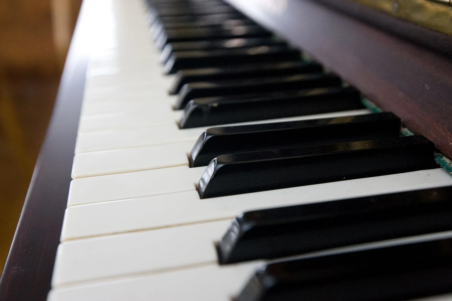 Vladimiro Ivanovo (VŽ) nuotr.