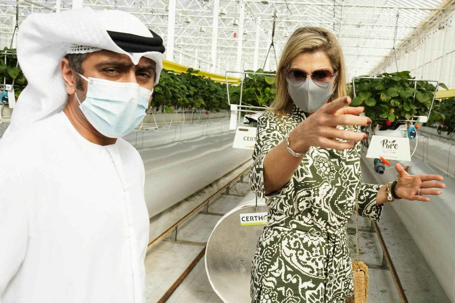 Nyderlandų karalienė Maxima lankosi „Pure Harvest“ žemuogių šiltnamyje Abu Dabyje 2020 m. Jono Gabrello (AP / „Scanpix“) nuotr.