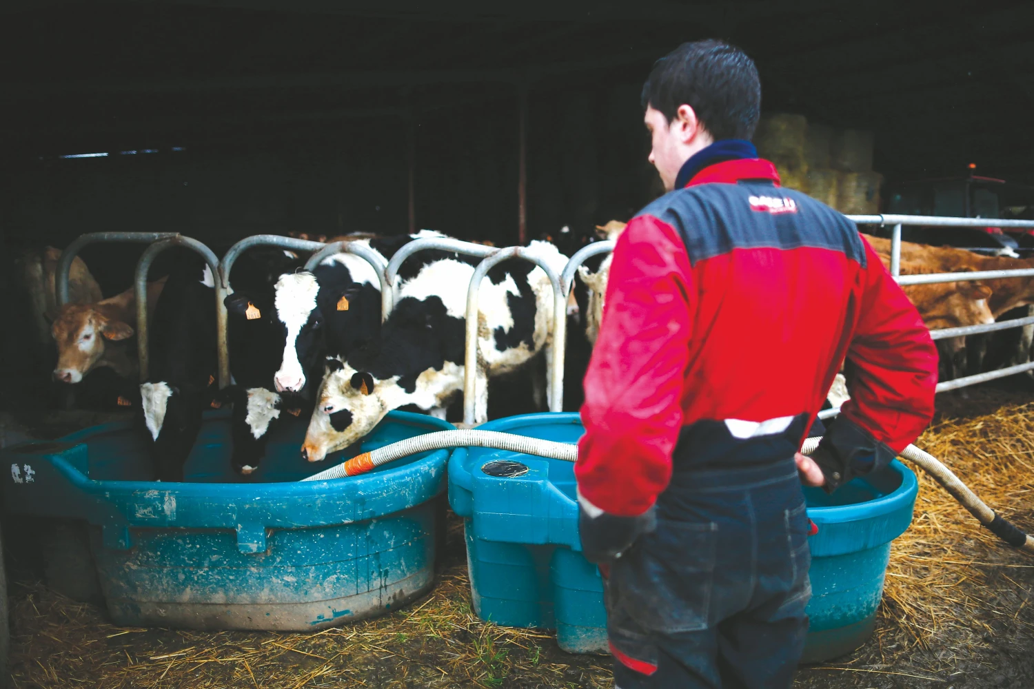 Pieno ūkiams atsilaikyti leidžia veiklos diversifikavimas, perdirbimas ir efektyvumo didinimas. 
Stephane Mahe („Reuters“ / „Scanpix“) nuotr. 