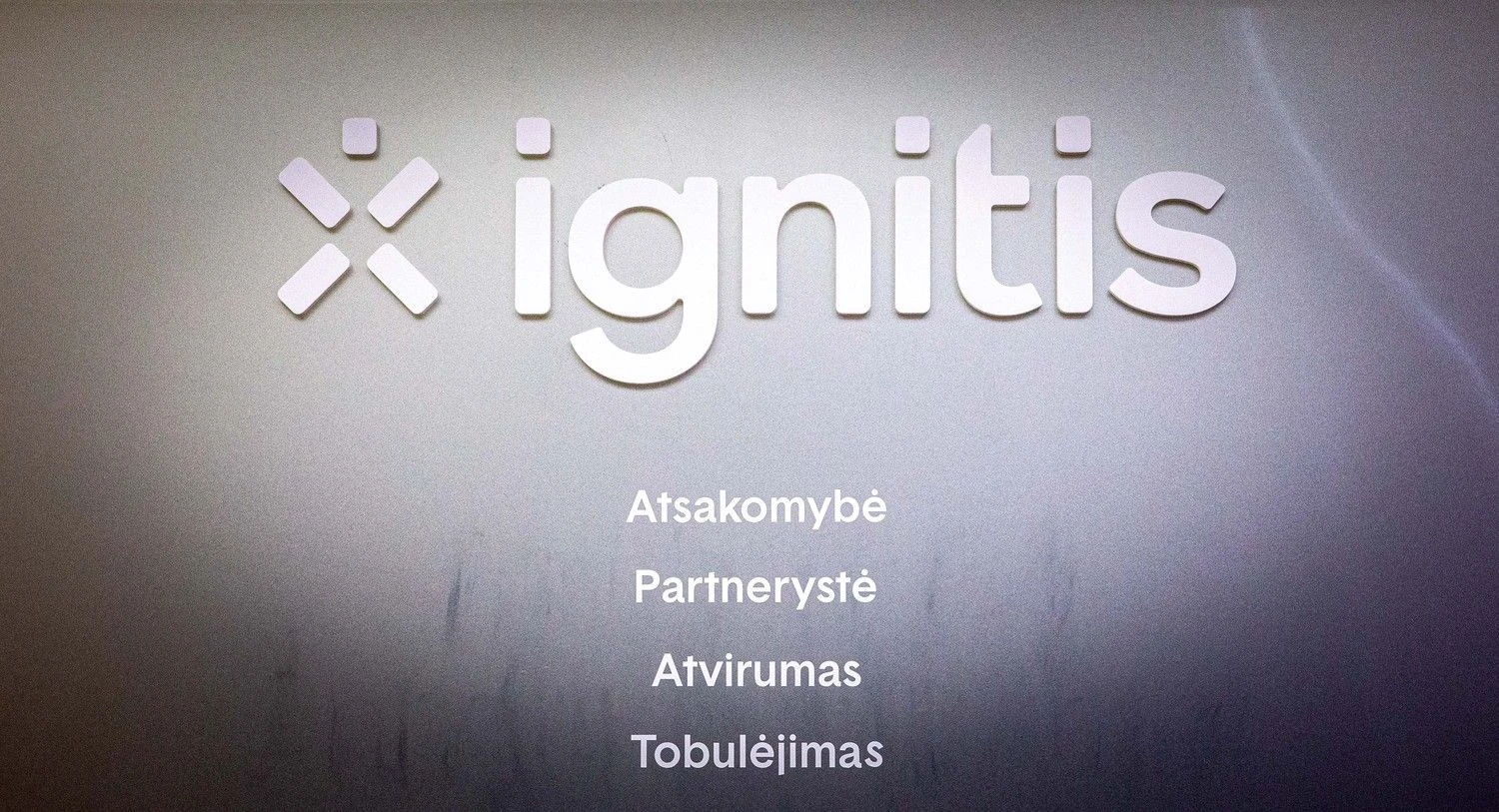 Juditos Grigelytės (VŽ) nuotr.