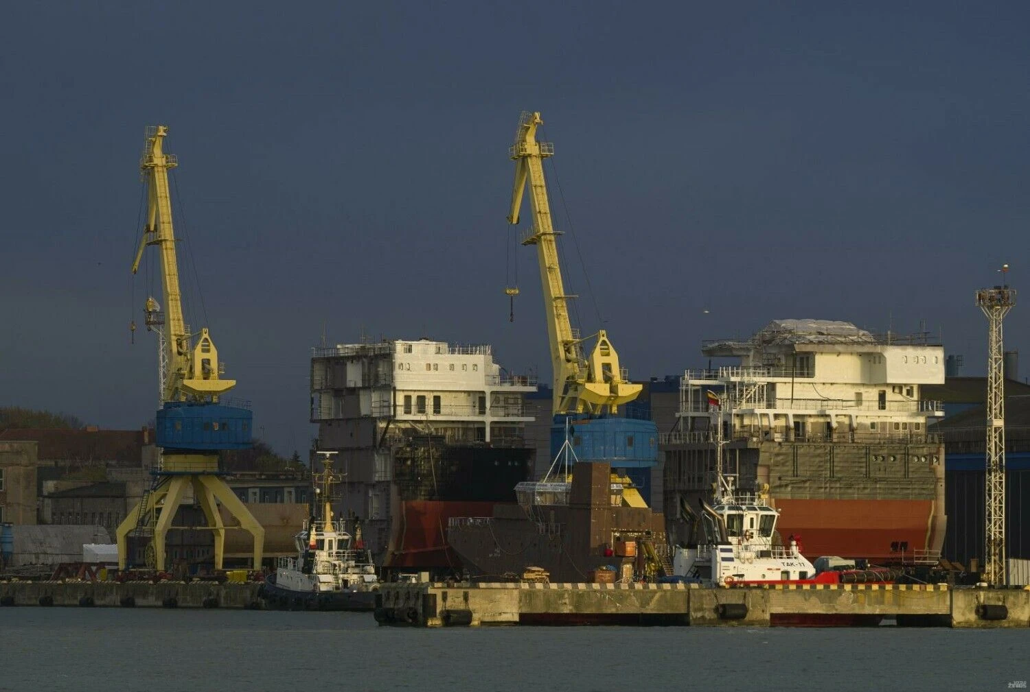 Algimanto Kalvaičio nuotr.