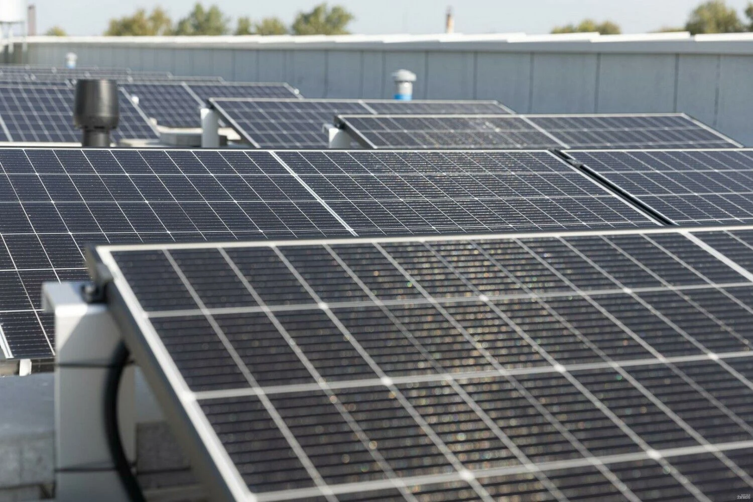 Juditos Grigelytės (VŽ) nuotr.