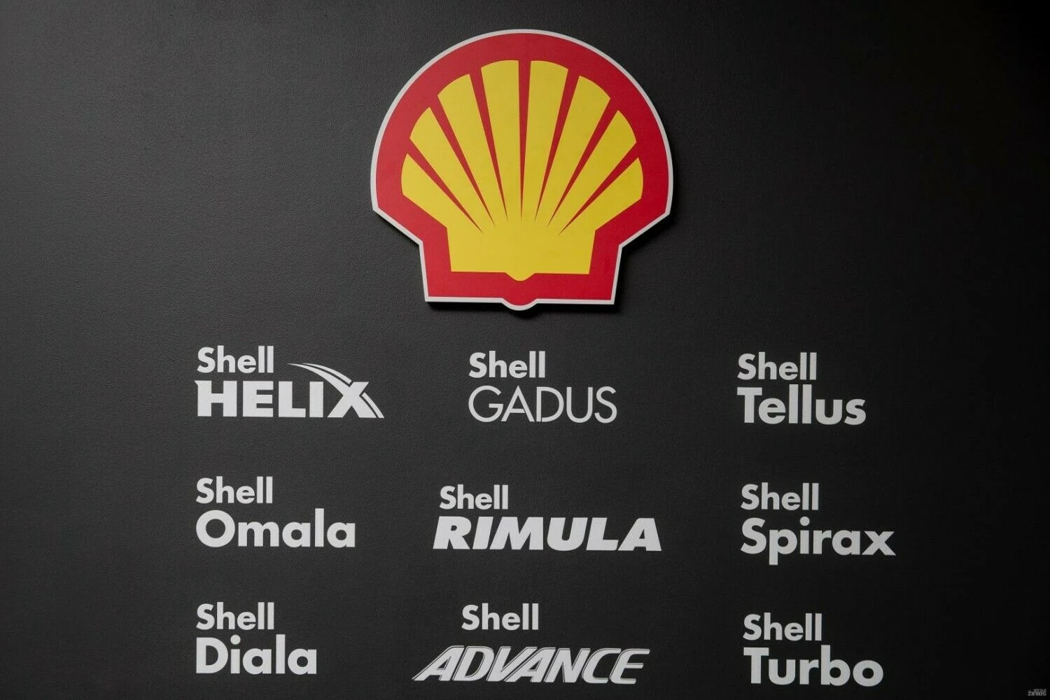 Vladimiro Ivanovo (VŽ) nuotr.