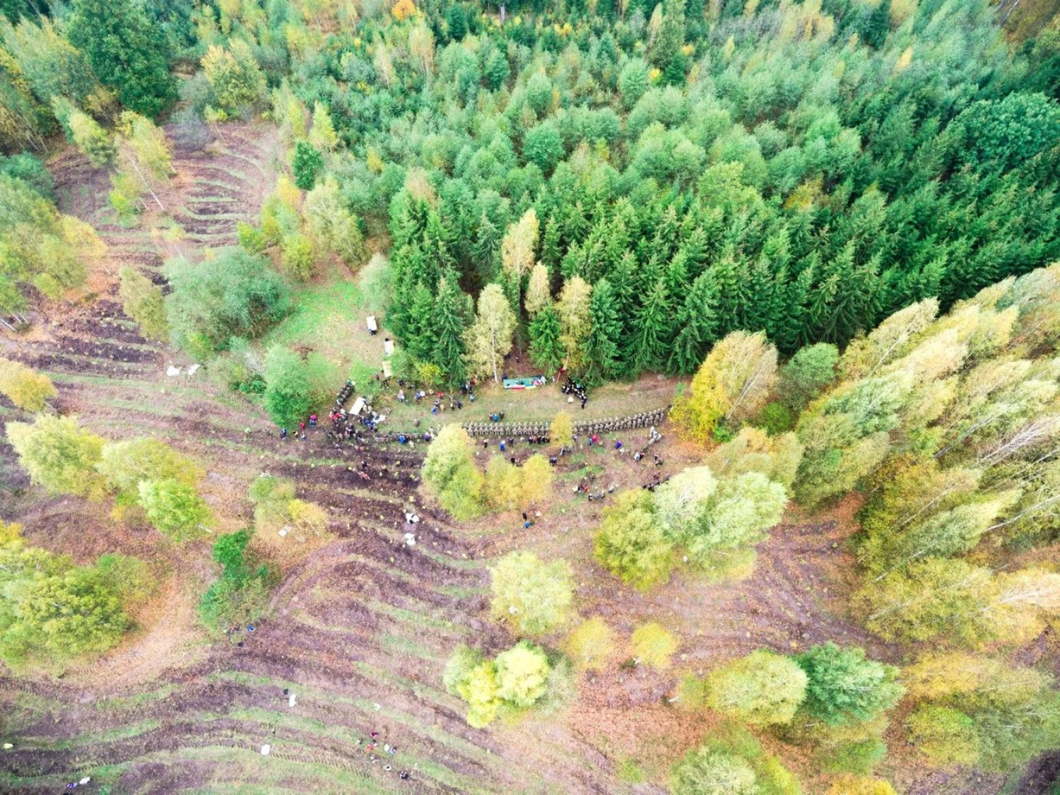 Valstybinių miškų urėdijos darbuotojai kartu su visuomene sodina ąžuolų giraitę Karalgiryje.

