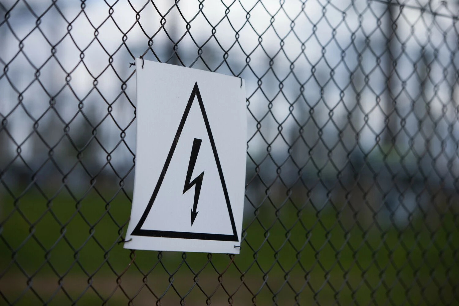 Juditos Grigelytės (VŽ) nuotr.