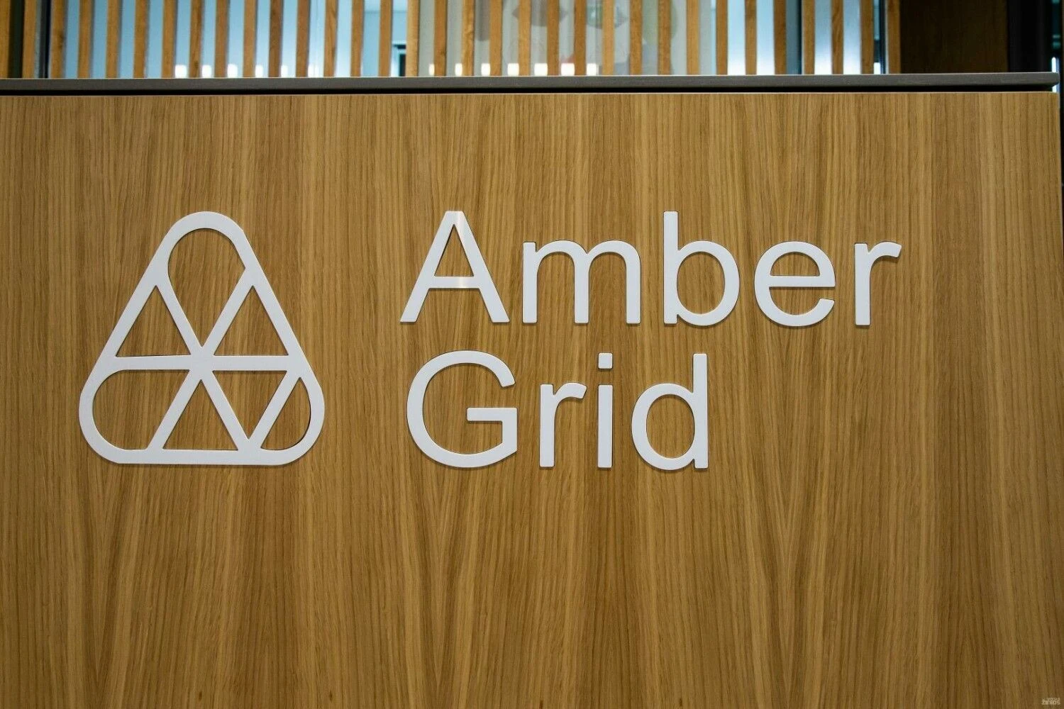 Amber Grid. Vladimiro Ivanovo (VŽ) nuotr.