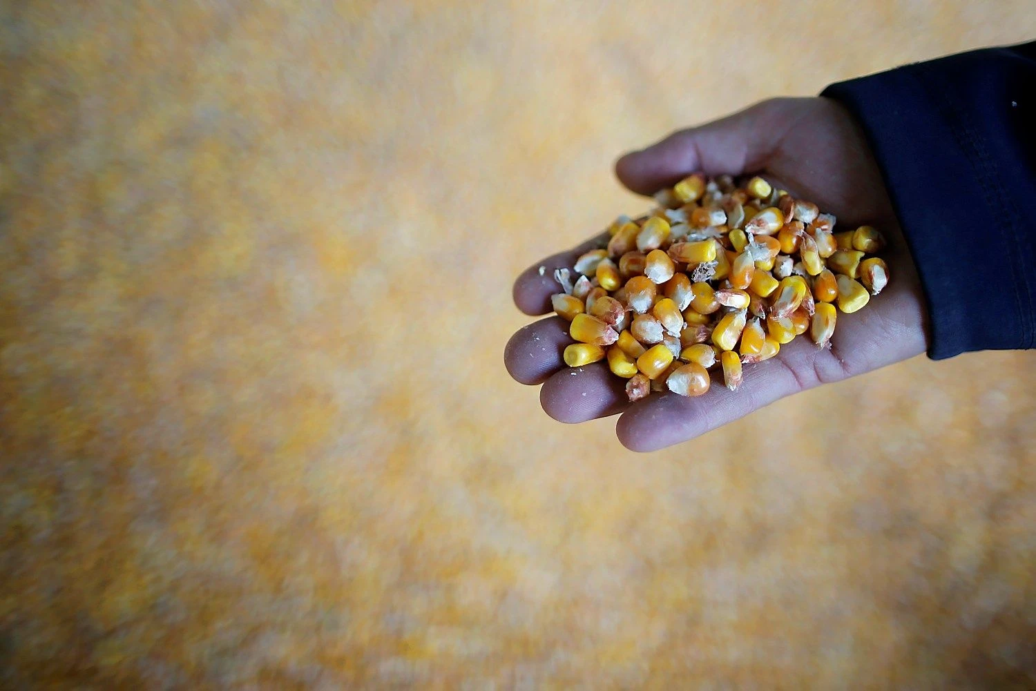 Stephane Mahe („Reuters“ / „Scanpix“) nuotr.