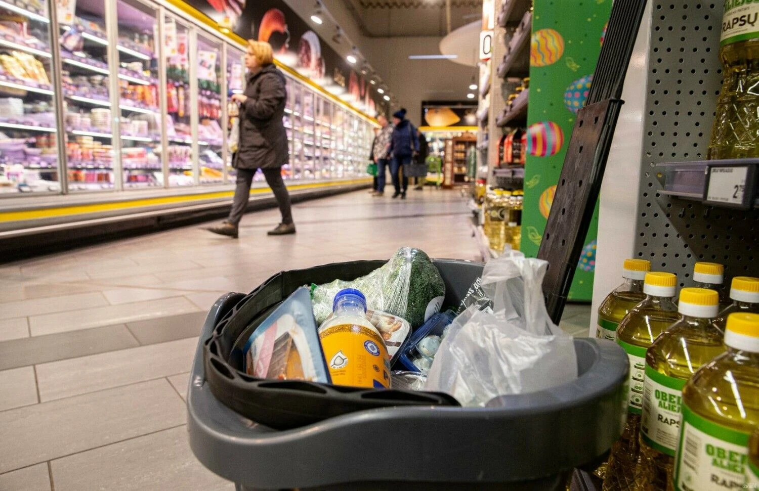 Juditos Grigelytės (VŽ) nuotr.