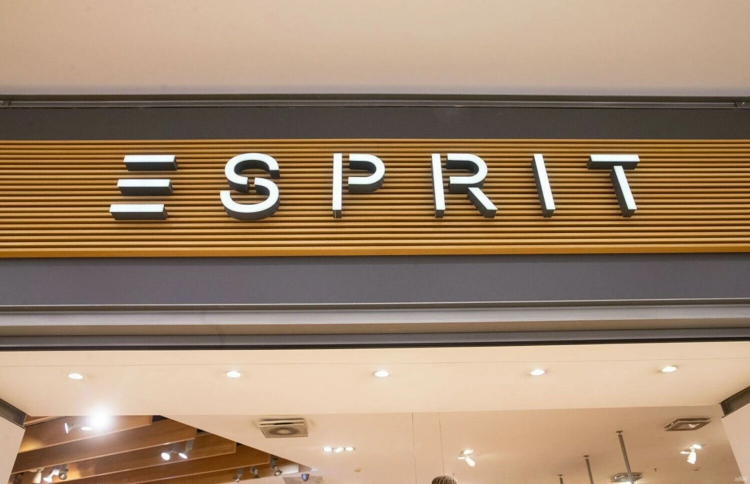 Juditos Grigelytės (VŽ) nuotr.