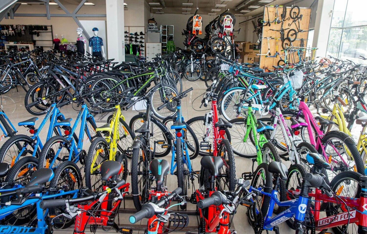 Juditos Grigelytės (VŽ) nuotr.