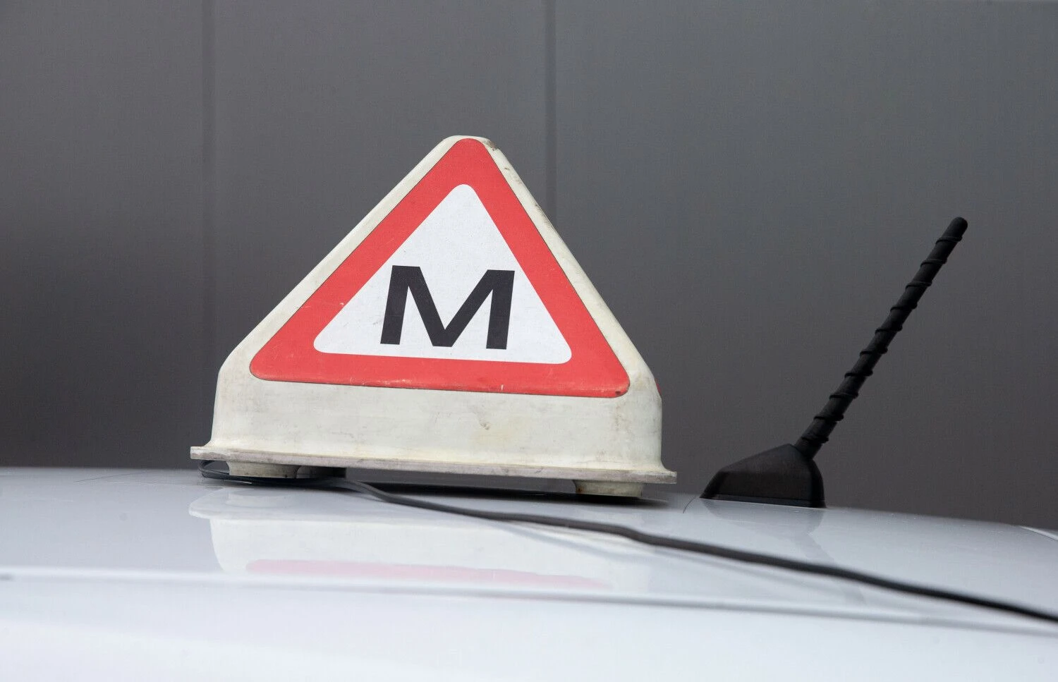 Juditos Grigelytės (VŽ) nuotr.