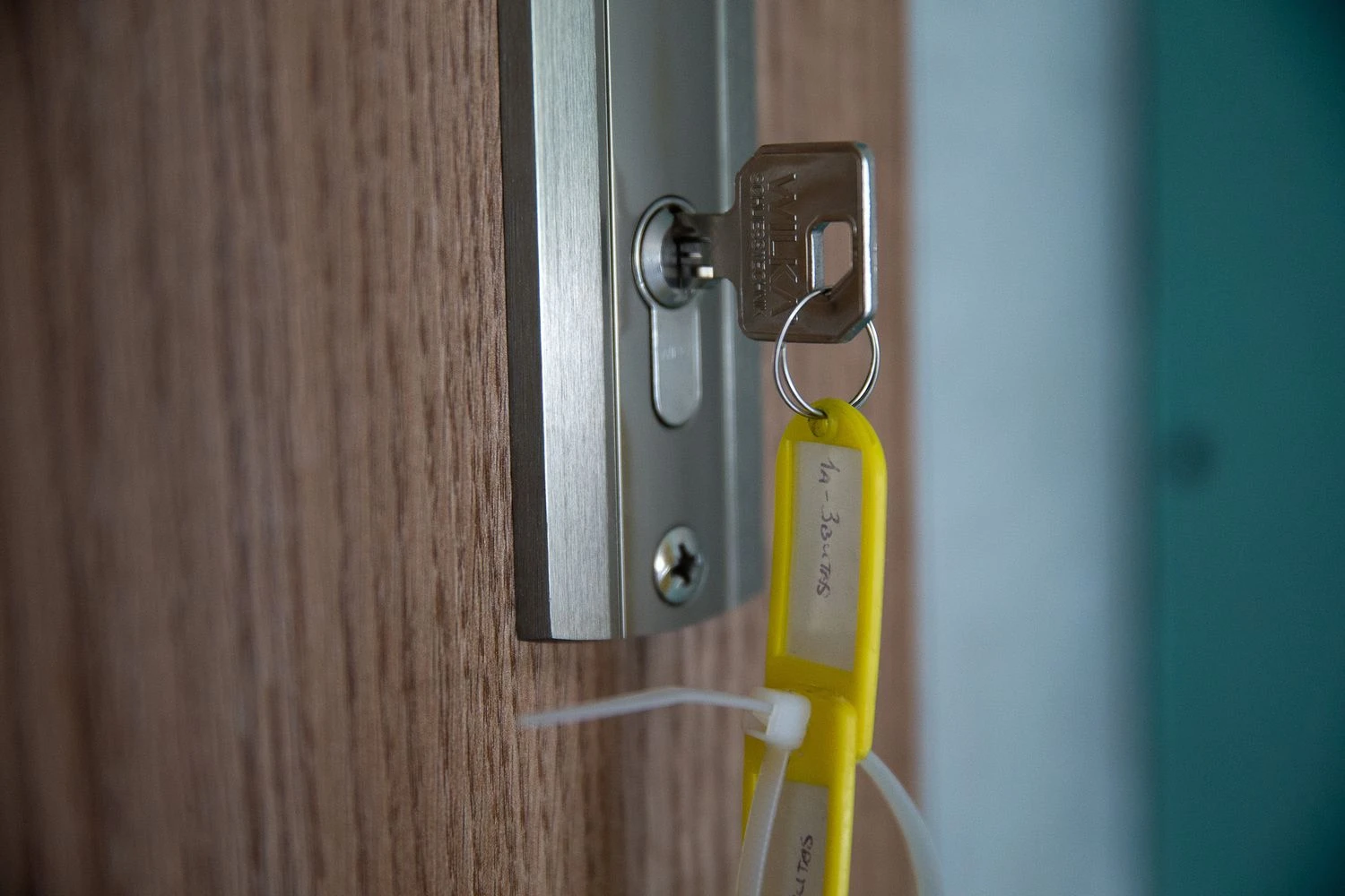 Vladimiro Ivanovo (VŽ) nuotr.