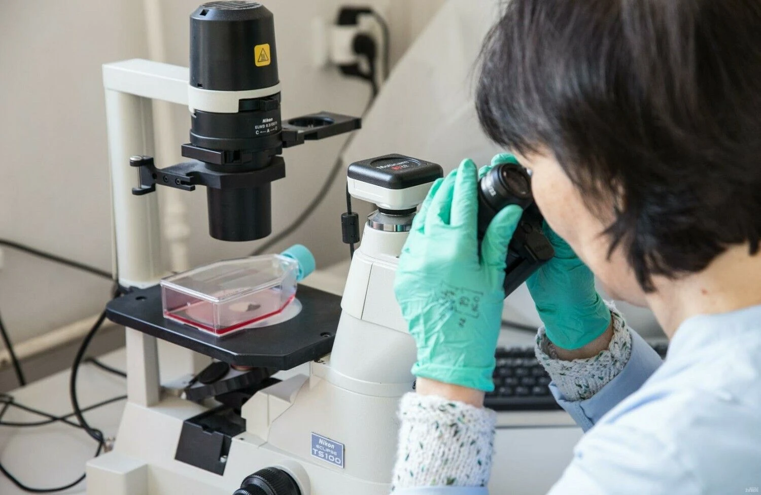 Juditos Grigelytės (VŽ) nuotr.