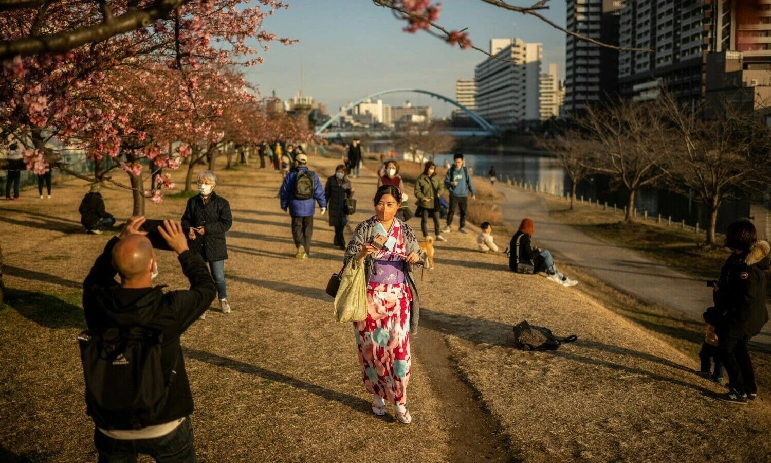 Žydinčios vyšnios viename iš Tokijo parkų. Philipo Fongo / „Scanpix“ nuotr.