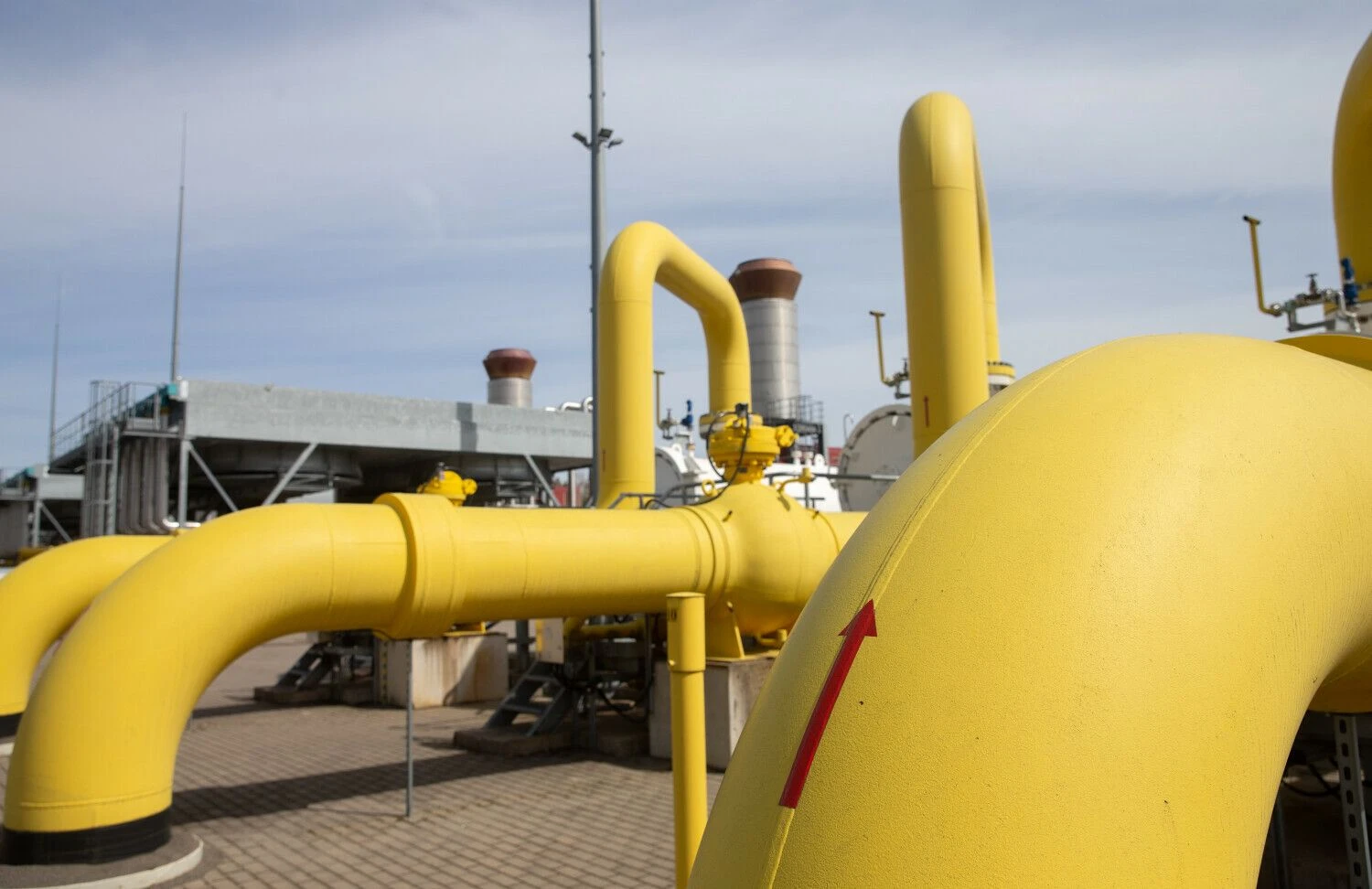 Juditos Grigelytės (VŽ) nuotr.