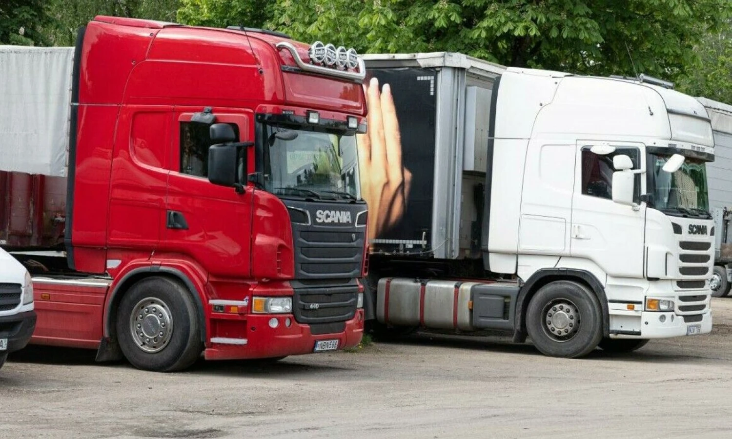 Vladimiro Ivanovo (VŽ) nuotr.